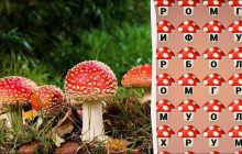 Надо найти слово "мухомор" за 8 секунд: простой тест для проверки уровня IQ