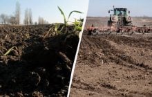 Чому чорнозем - найродючіший ґрунт: де він є в Україні та чому може зникнути