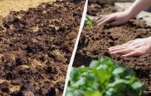 Что нужно закопать в огород перед зимой: лайфхак, который знают только опытные огородники