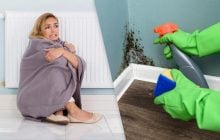 "Грибку вистачить тижня": лікар розповів, коли у неопалюваному будинку з'являється цвіль