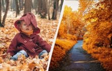 Сегодня наступает несколько больших праздников: почему нельзя работать 14 ноября 2025