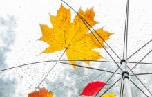 12 листопада дощі в Україні триватимуть і похолоднішає