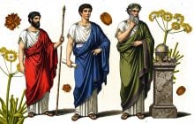 Рослина, що коштувала дорожче за золото: навіщо люди знищили сильфій