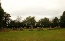 В Англии есть древние камни, которые существовали еще до Стоунхенджа: в чем их особенность