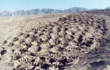 Ученые нашли объяснение загадочному "полю ям" в Перу