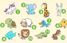 Яка ви тварина: тест, який напрочуд точно описує вас