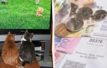 5 налаштувань телевізора, здатних скоротити споживання електроенергії без втрати якості