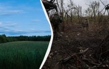 Из-за войны наши поля захватывают чужеродные растения, которые нельзя остановить, - эколог