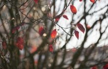 На вихідних в Україну прийде похолодання, але є нюанс, - синоптикиня