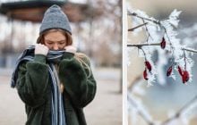 Стилісти назвали 8 відтінків, які цієї зими носитимуть всі (фото)