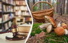 Зрізали гриб - отримали штраф: за що в 2025 році каратимуть грибників