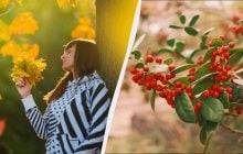 Кого вітають 22 листопада: цікаві факти та прикмети у свято сьогодні