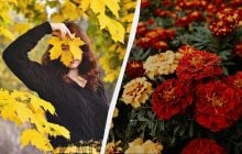 Чого категорично не можна говорити сьогодні: важливі звичаї у свято 23 листопада 2025