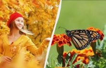 Женщинам запрещено делать три дела: что за праздник 24 ноября и какие его обычаи