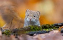 20 листопада погода в Україні покращиться