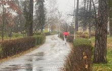21 листопада в Києві потеплішає, але погоду зіпсує дощ
