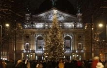 У списку – понад 15 претенденток: стала відома дата відкриття головної ялинки Львова