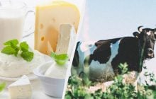 Молочний апокаліпсис: кліматичні зміни загрожують деяким видам популярних сирів