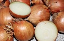 Які зміни відбудуться в організмі, якщо щодня їсти цибулю: експерти назвали 8 переваг