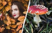 Почему 27 ноября нужно поблагодарить близких: важный праздник сегодня и его обычаи