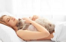 Чому кішка спить на людині: 6 причин милої звички