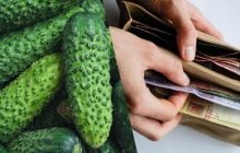 Ціни на огірки знову переписали: скільки тепер коштує кілограм овочу