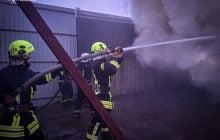 У КиївЗоо поранений під час атаки РФ олень одужує після складної операції, - КМДА