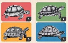 Какую картинку выбирают терпеливые люди: тест на характер с точностью 99%