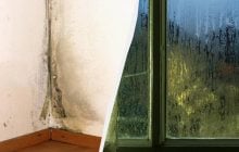 У квартирі більше не буде вогкості, а на вікнах - конденсату: ось що потрібно зробити