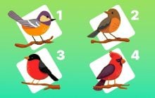 Любите или только привязываетесь: очень честный тест раскроет правду