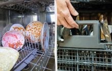 Що відбувається всередині посудомийки: чоловік показав відео зсередини, воно викликає огиду