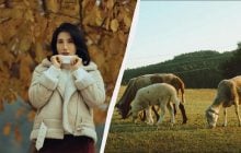 В Україні настає молоде свято: що відзначити 28 листопада і які прикмети дня