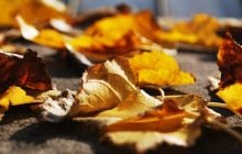 Какой будет погода в Украине в последние дни осени: синоптик удивил прогнозом