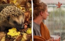 Какая будет погода во вторник: синоптики дали прогноз на 25 ноября