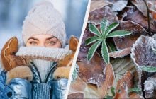 Что сделать на удачу в первый день зимы: все праздники и обычаи 1 декабря 2025