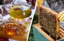 Який сорт меду найкорисніший і чи можна його гріти: остаточна відповідь пасічника