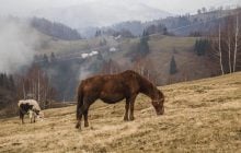 Одна часть Украины завтра подмерзнет больше всех: синоптик рассказала о погоде в четверг
