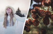 Чому сьогодні всім потрібно мовчати: незвичайне свято 3 грудня та його звичаї