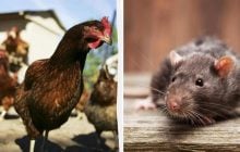 5 заголовков новостей 1975 года, в которые трудно даже поверить сегодня