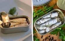 Что дает сердцу привычка есть сардины каждый день: врачи назвали главные плюсы и риски