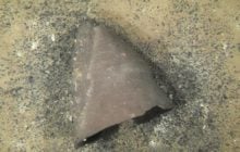 В Японии обнаружена одна из древнейших реликвий: почему она поразила ученых