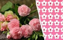 97% людей не могут найти слово "букет" за 11 секунд: очень сложная головоломка