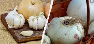 Не в холодильнику: де зберігати цибулю і часник місяцями, щоб не гнили і не проростали