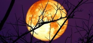 Главное полнолуние 2025 года: деньги, успех и признание - кто окажется в центре событий