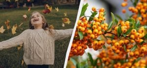 Что запрещено делать женщинам: праздники 6 ноября 2025 и приметы на удачу