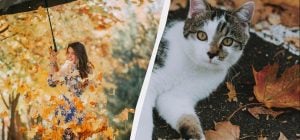 Запрещено делать 3 вещи - навлечете горе: приметы про праздник 7 ноября 2025