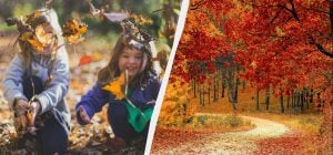 Дома запрещено делать два действия: про что надо знать в праздник 10 ноября 2025