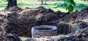 Відкачувати не потрібно: цей засіб відмінно почистить вигрібну яму навіть узимку