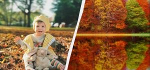 Чого не можна говорити близьким сьогодні: прикмети на свято 12 листопада 2025