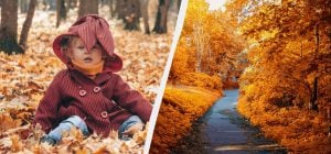 Сьогодні настає кілька великих свят: чому не можна працювати 14 листопада 2025